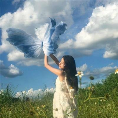 天空中的金星